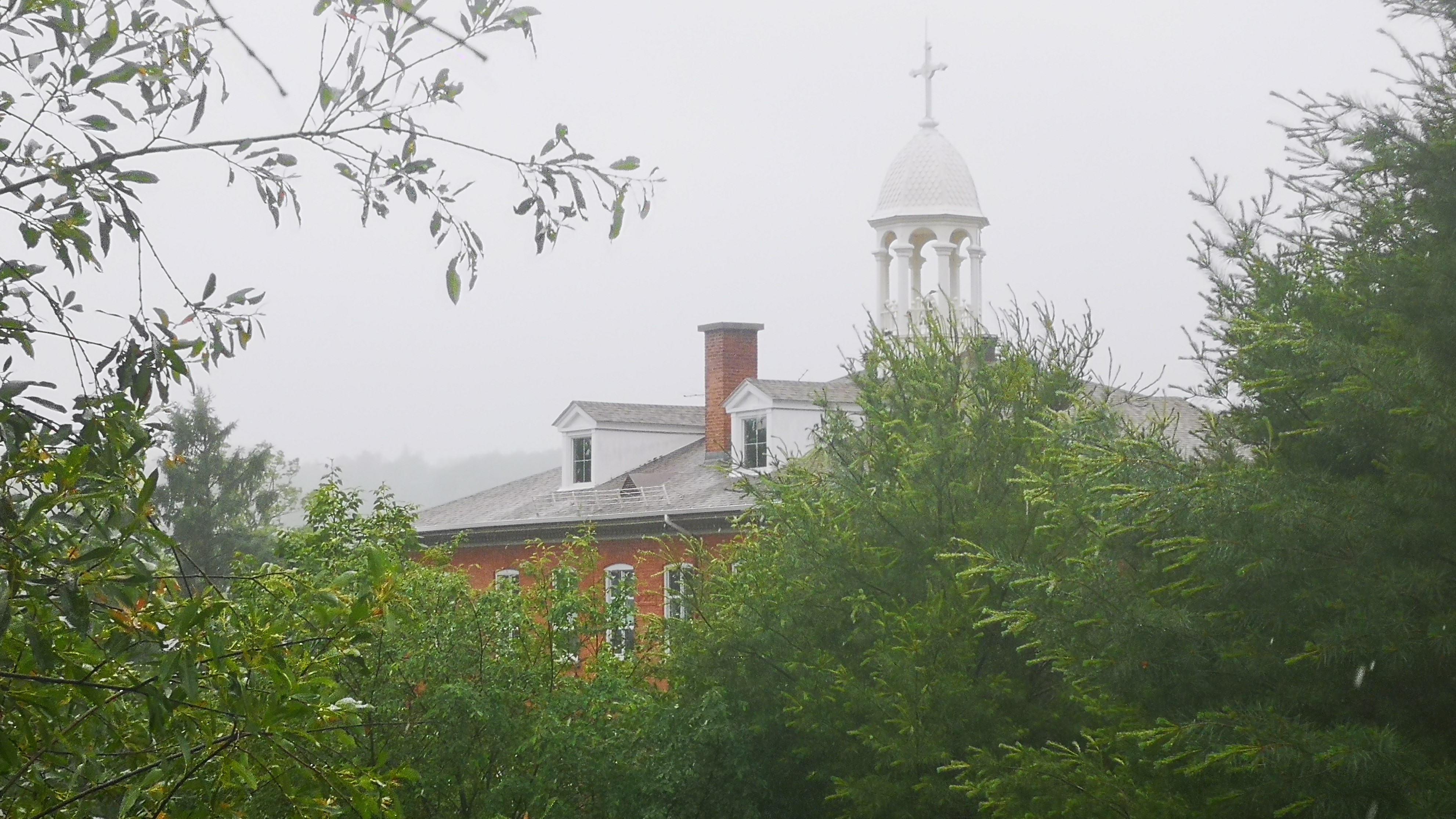 School among Trees