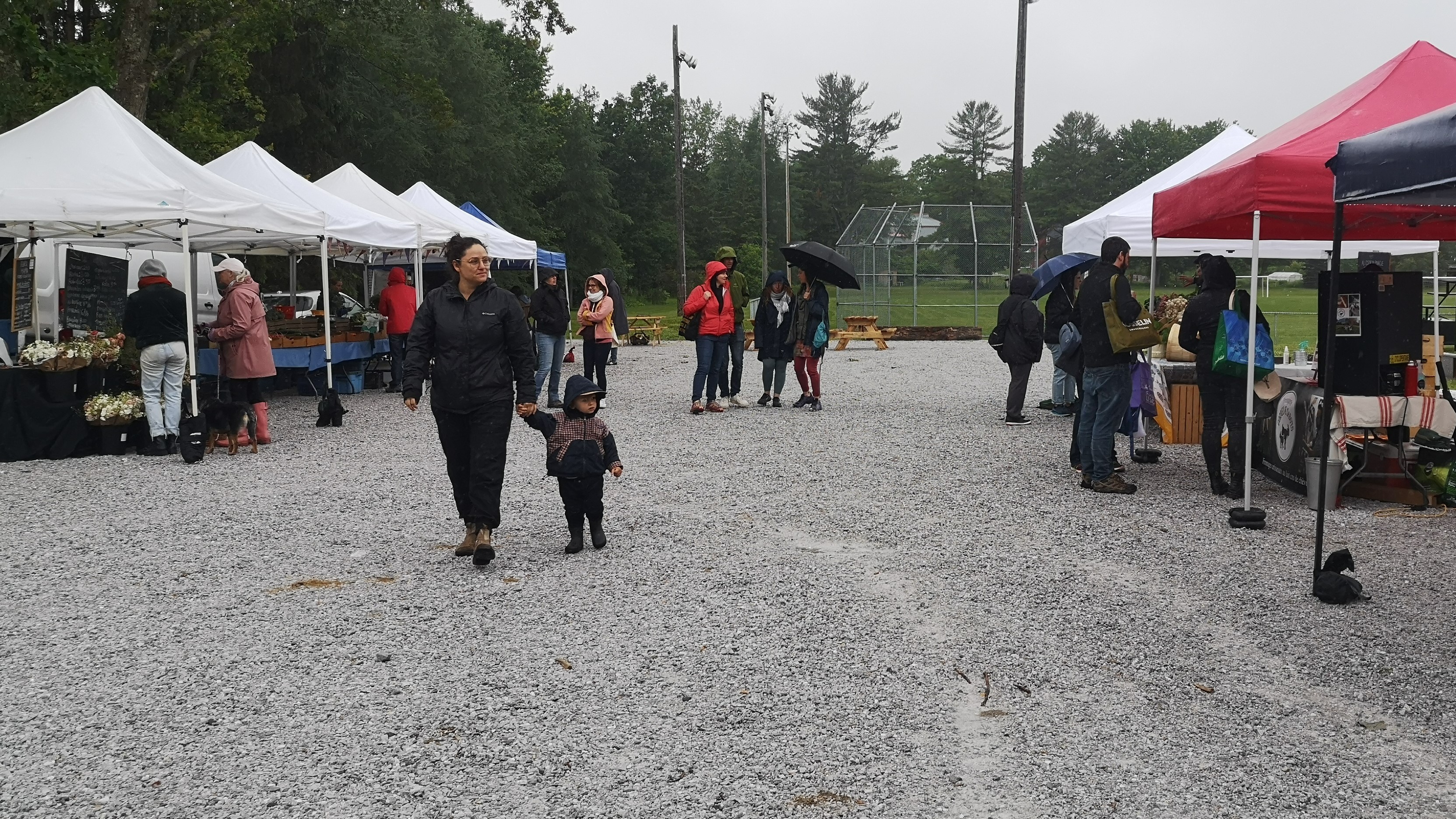 Freli Farmer's Market